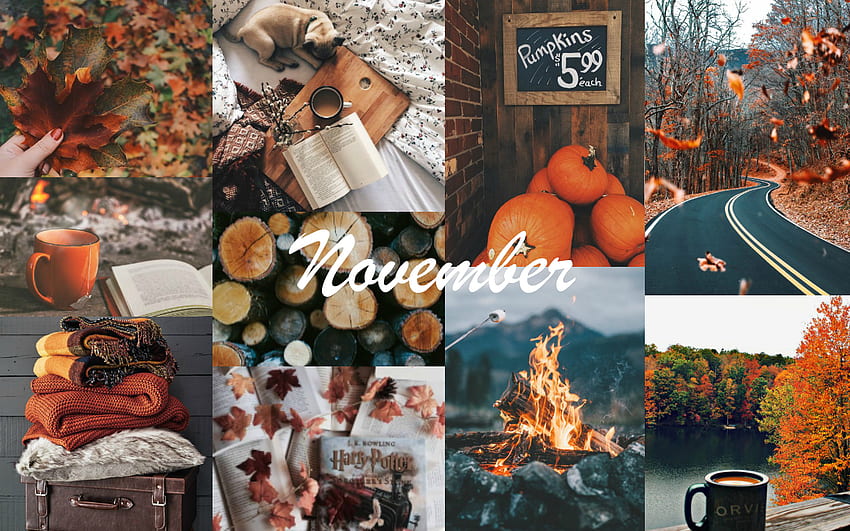 cute fall pictures tumblr