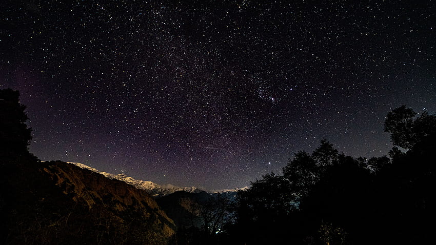 Bäume, Sterne, Nacht, Dunkel, Glanz, Sternenhimmel, Brillanz, Sternennacht, Sternennacht HD-Hintergrundbild