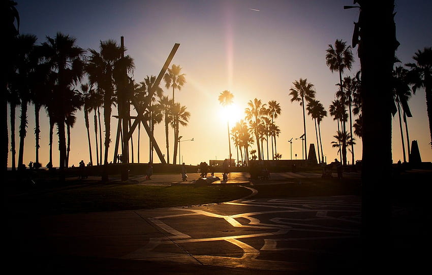 summer, california, sunset, los angeles, palm, Venice Beach Sunset HD wallpaper