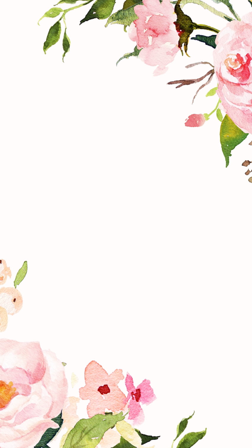 Rosa bianco acquerello cornice floreale bordo fiori telefono schermata di blocco iPhone. fiore iphone, fiore, acquerello floreale Sfondo del telefono HD