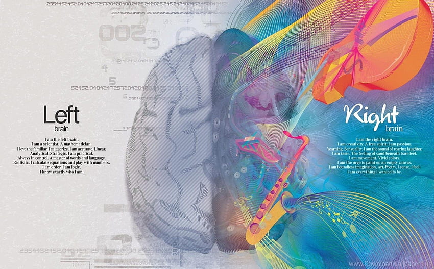 Brain, Creativity, Creativity, Gray Matter, Gyrus, Brain Intelligence HD wallpaper