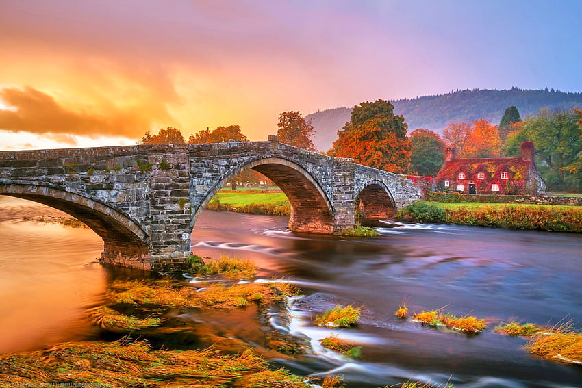 Wales' Ivy Covered House In Autumn . Background ., Welsh Countryside HD wallpaper