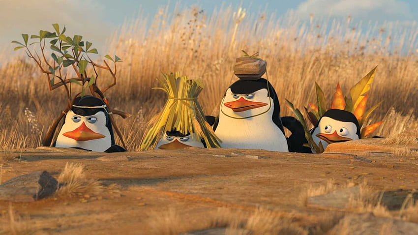 PENGUINS OF MADAGASCAR animation comedy adventure family penguin, Madagascar Cartoon HD wallpaper