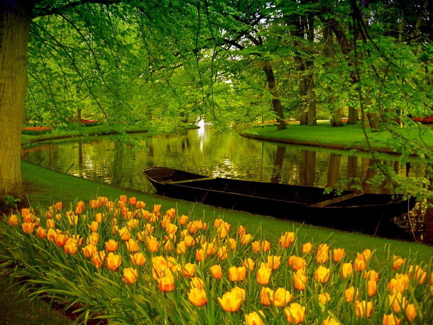 Río en el parque, río, bote, tulipanes, pequeño, agradable, reflexión, árboles, verdor, increíble, agua, canoa, hermosa, hierba, parque, bonita, verde, amarillo, naturaleza, flores, encantador fondo de pantalla