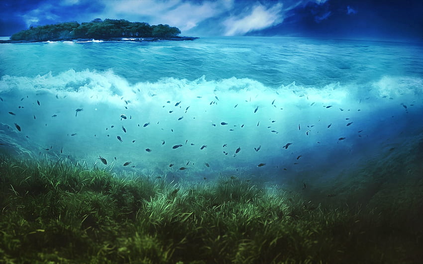 Nature, Water, Art, Sea, Fishes, Vegetation, Island, Underwater World, Bottom HD wallpaper
