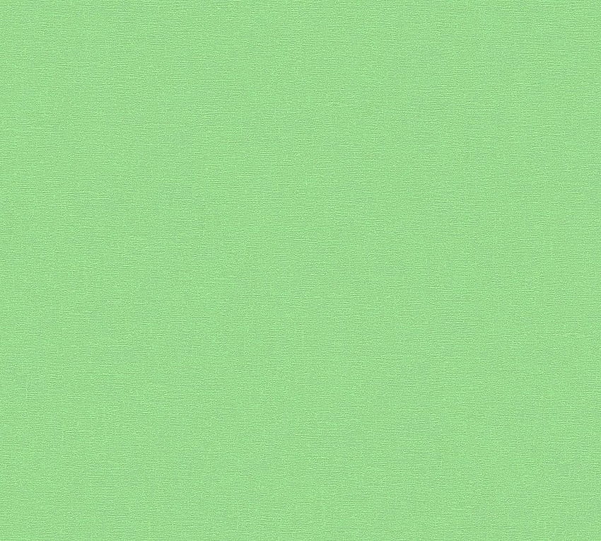 Light Green Plain (Page 1) HD wallpaper