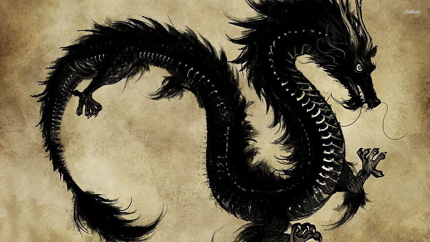 Black Chinese dragon - Artistic HD wallpaper