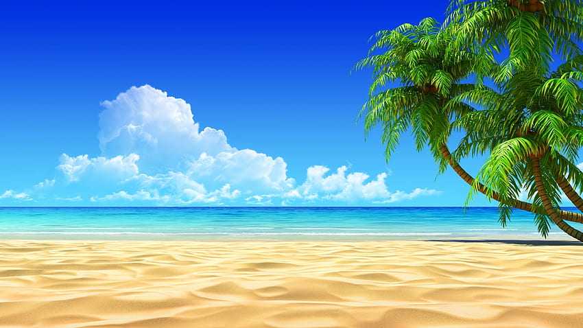 Pantai, biru, laut, pasir, musim panas, pohon palem, hijau, langit, air, awan Wallpaper HD