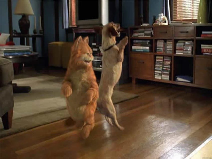 Garfield y Odie, perro, odie, bailando, habitación, película, gato, garfield fondo de pantalla