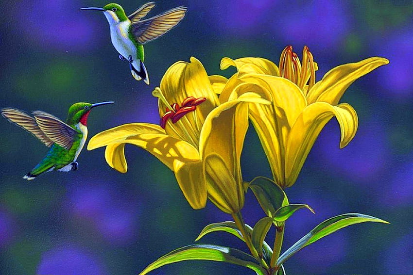 Hummers with Yellow Lilies, attractions in dreams, garden, paintings, spring, love four seasons, animals, yellow, hummingbirds, nature, flowers, lilies HD wallpaper