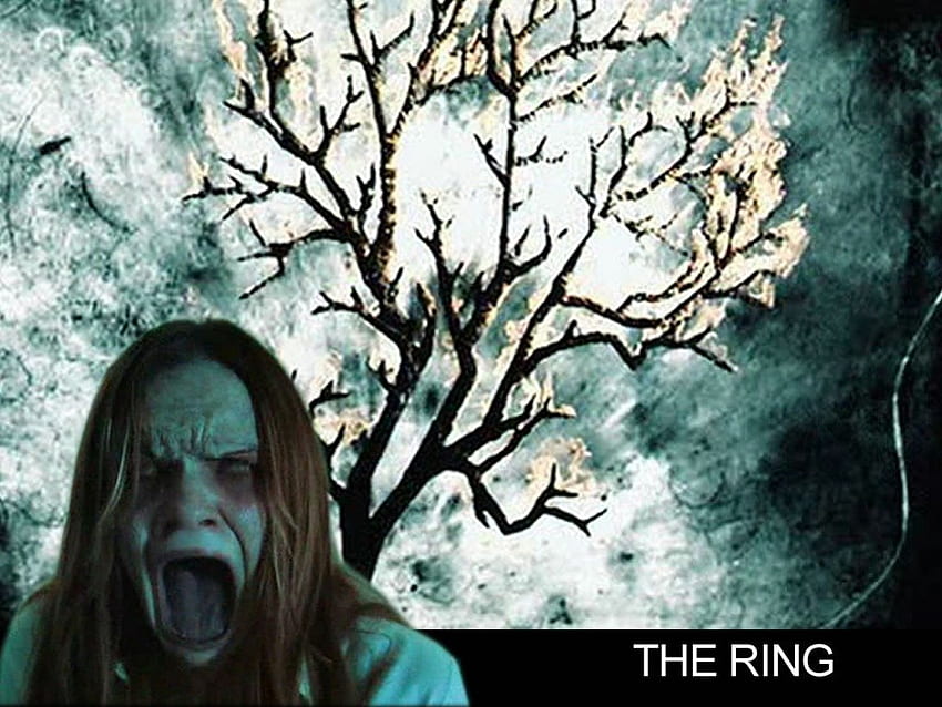 Der Ring, besessen, gruselig, Film, Horror, Mädchen, Dämon HD-Hintergrundbild