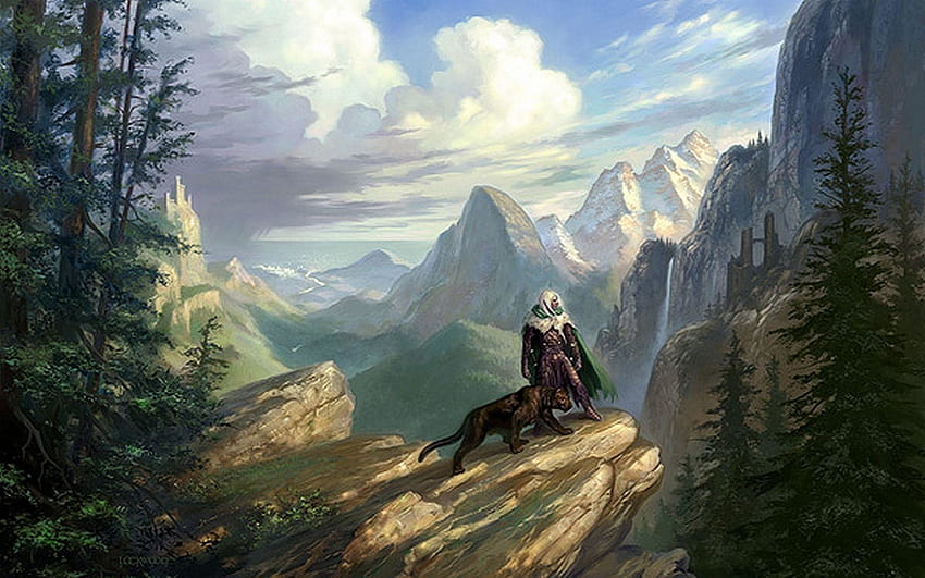 Legend Of Drizzt - Viewing Gallery HD wallpaper