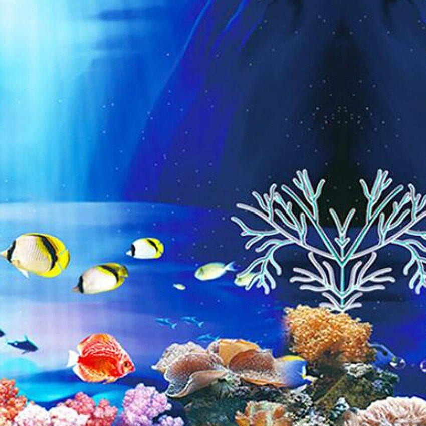 Fish Tank Background Painting 3D Ocean Landscape Poster Fish Tank  Background Aquarium Decorative Painting Decals HD phone wallpaper | Pxfuel