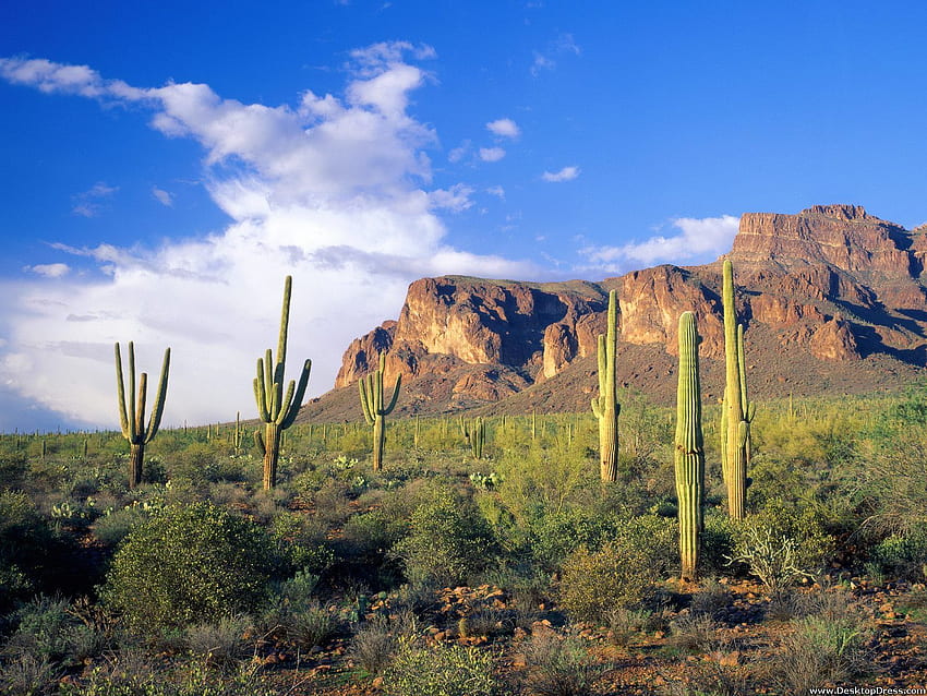 Natural Background Superstition Mountains, Arizona Landscape HD wallpaper