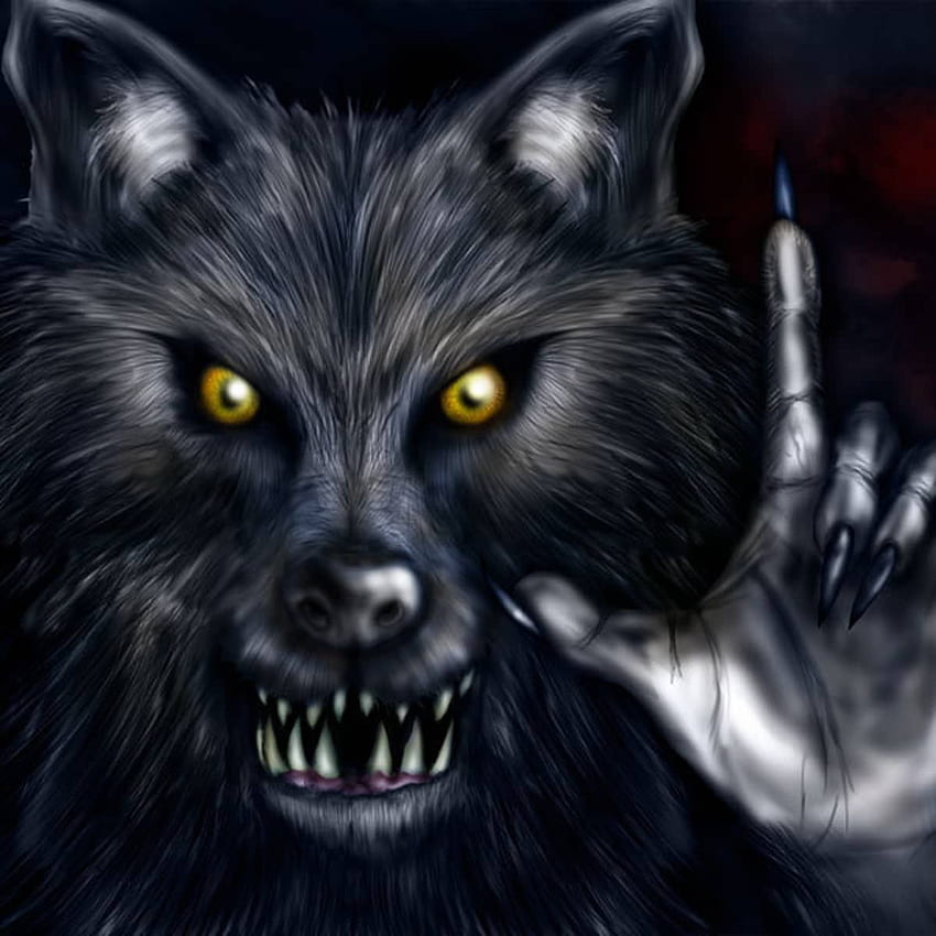 Classic Werewolf Horror Movies : A Parisian Werewolf In New York HD phone wallpaper