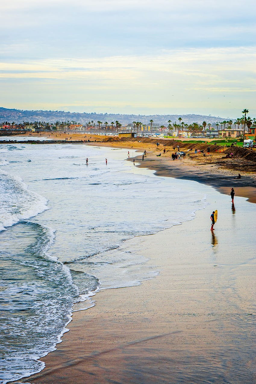 昼間にビーチを歩く人 – 水、海 ビーチ サンディエゴ HD電話の壁紙