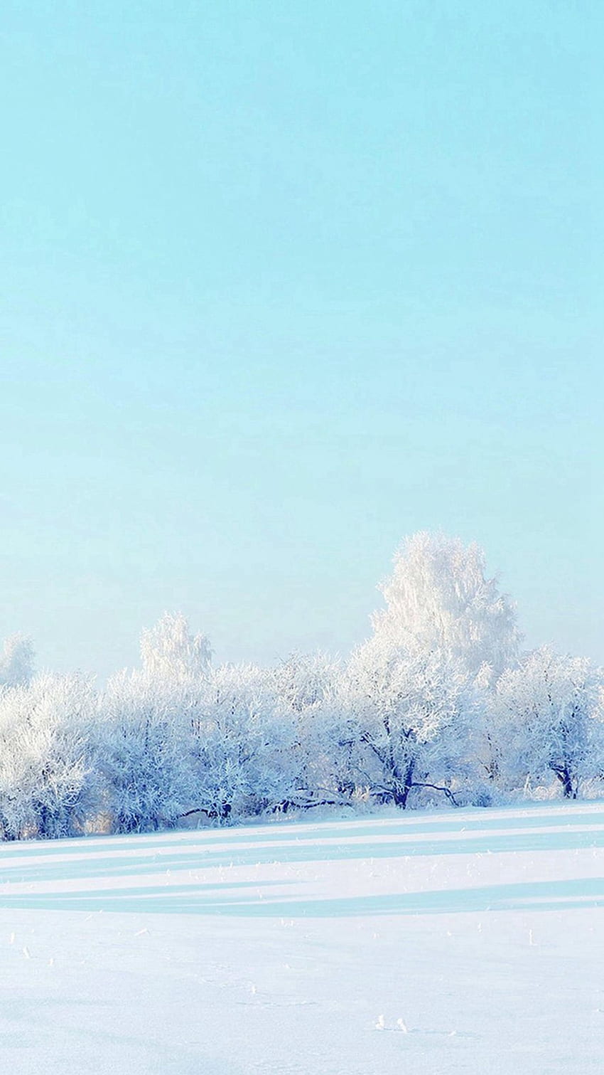 Pure Winter Static Snow Field White World iPhone 8, Calm Winter HD phone wallpaper