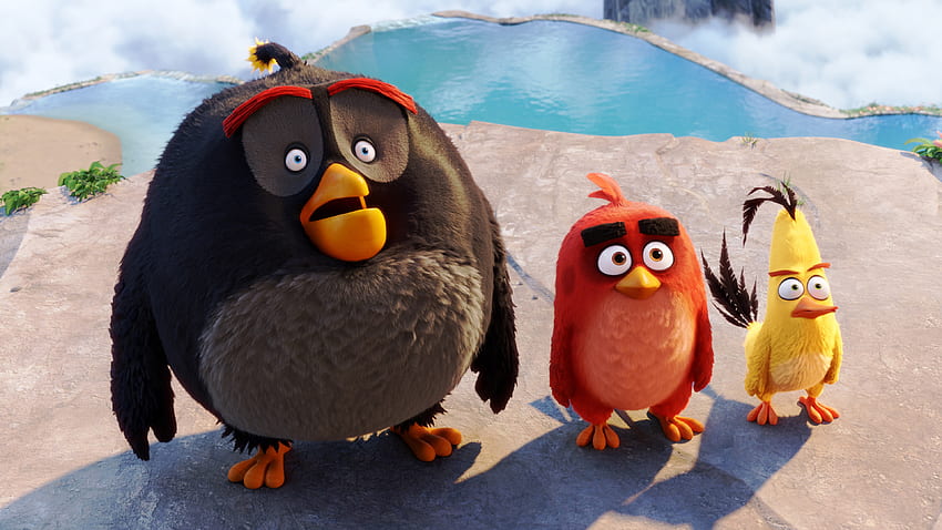 Bomb Red Chuck Angry Birds em formato jpg para, Cute Cartoon Bird papel de parede HD