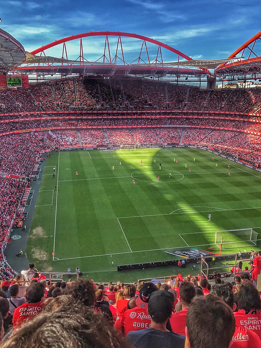 Nuno Joao. Sport lisboa e benfica, Benfica , Benfica campeao, Estadio Da Luz fondo de pantalla del teléfono