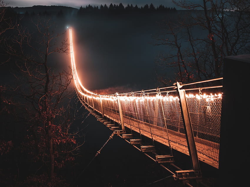 Lights on bridge, hanging bridge, night HD wallpaper