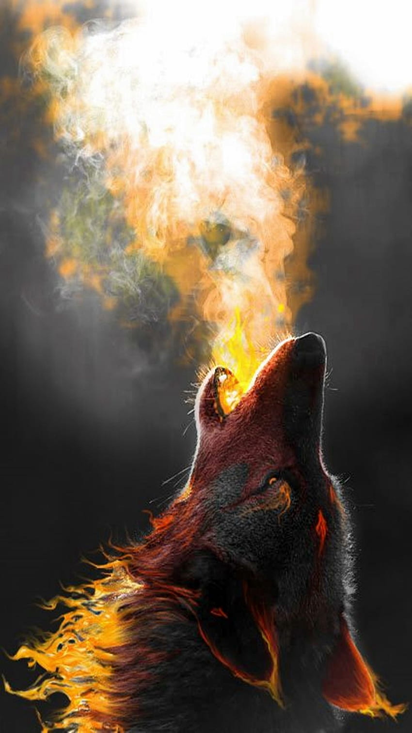 Wolf iPhone, rote Wolfsaugen HD-Handy-Hintergrundbild