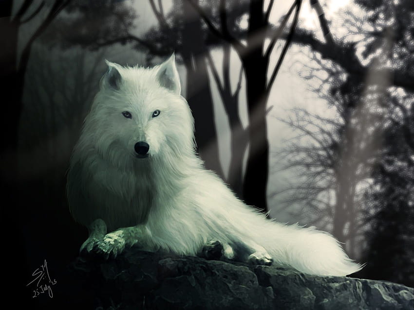 lobo huargo Direwolf, Juego de Tronos Dire Wolf fondo de pantalla