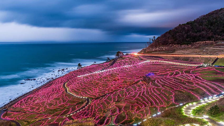 Bing Archive: 灯光装点的水稻梯田，日本轮岛© Sean Pavone Alamy, Tibet Bing HD wallpaper