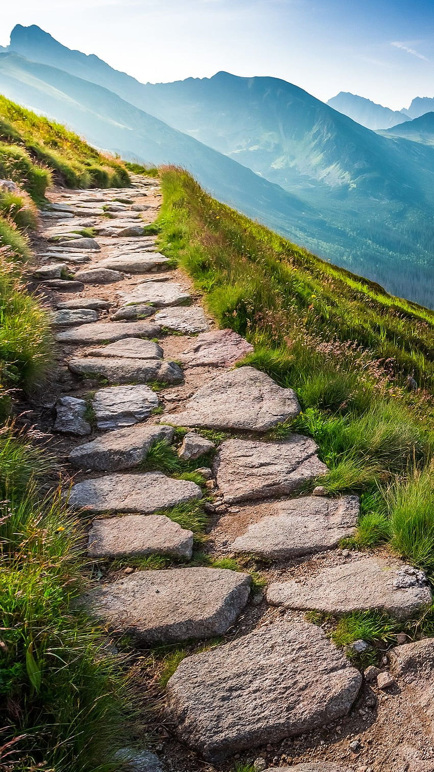 Ścieżka w Tatrach o wschodzie słońca, Zakopane, Polska. Windows 10 Spotlight, Tatrzański Park Narodowy Polska Tapeta na telefon HD