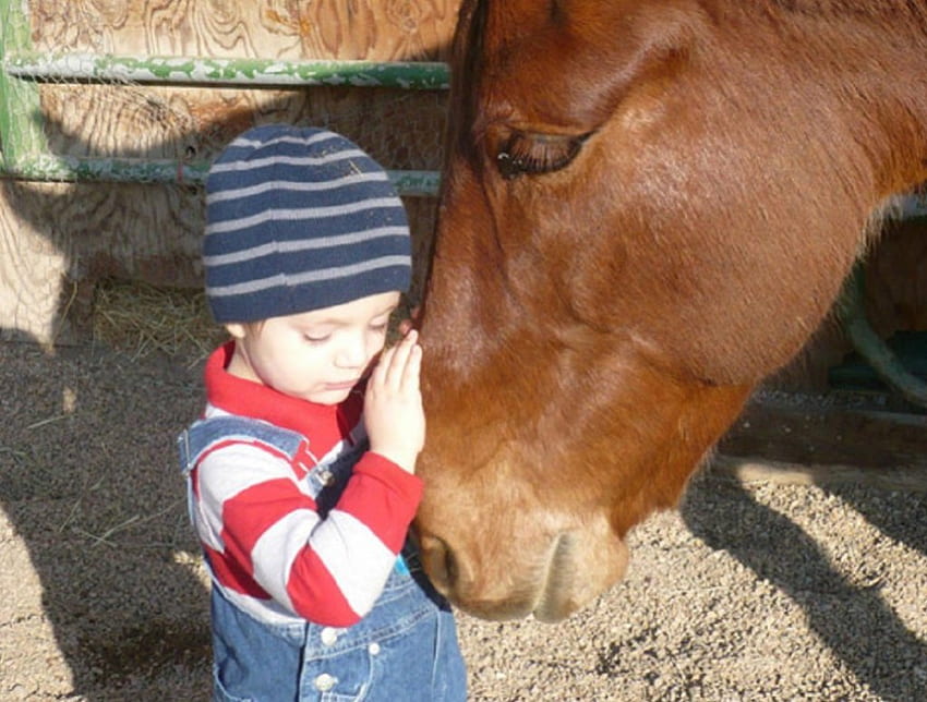 JOCKEY ในอนาคต น่ารัก ม้า ตบ เด็ก วอลล์เปเปอร์ HD