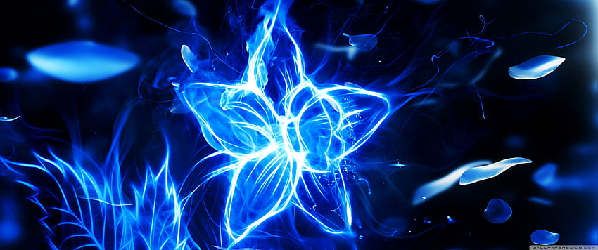 Blue Fire Flower Ultra Background untuk U TV : Layar Lebar & UltraWide & Laptop : Tablet : Smartphone, 3440X1440 Biru Wallpaper HD