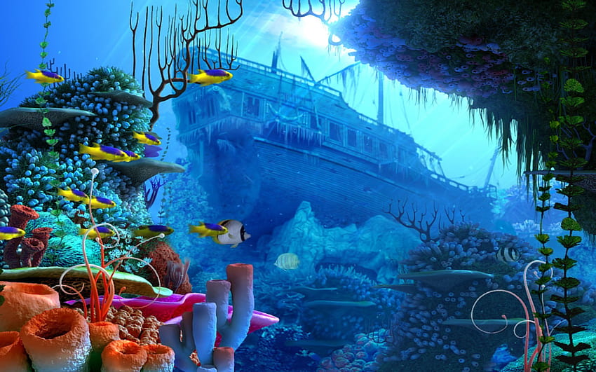 Biblioteka podmorskich plików png Tapeta HD