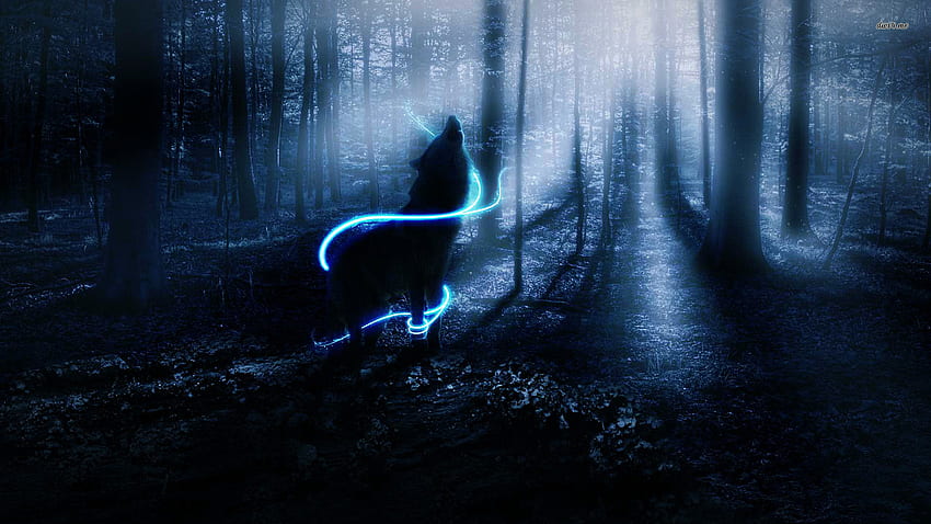 Wolf Wolves Fantasy Forest Bokeh Trees Night Mood - Wolf In The Woods - -, Magical Night Forest fondo de pantalla