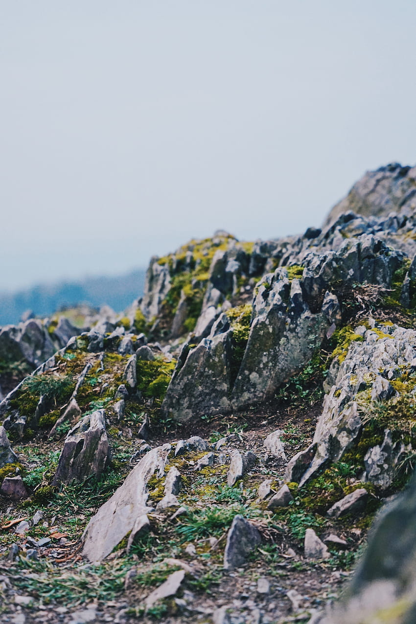 Nature, Stones, Rocks, Mountain, Cliff, Moss, Rocky, Stony HD phone wallpaper