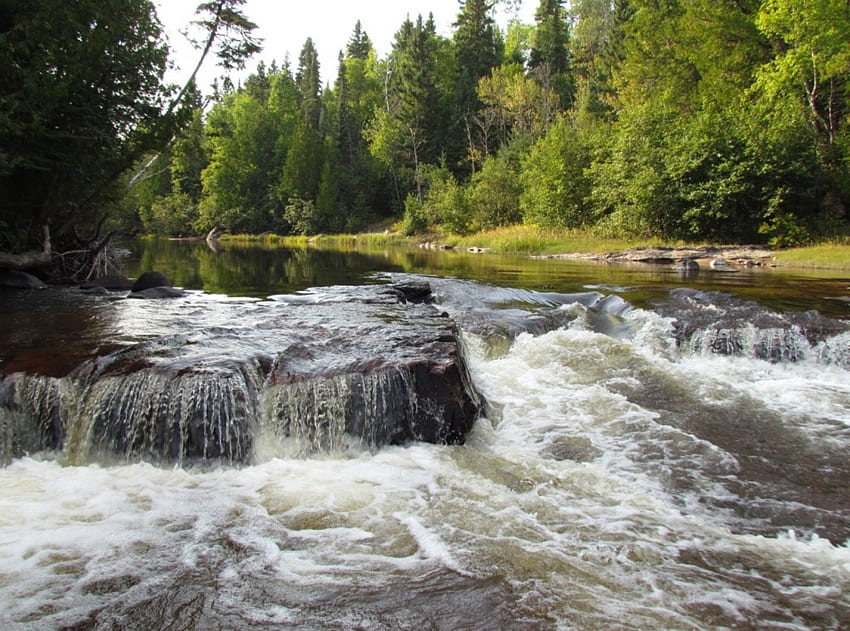 Wolf River, rivière, rapides, eau vive, chute d'eau, nature, eau, forêt Fond d'écran HD