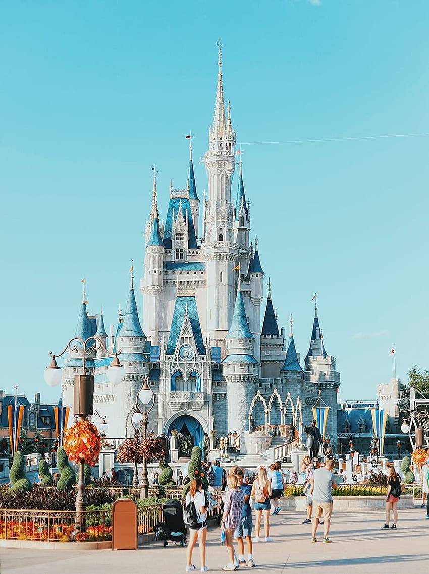 : Disney Land, castle, disney world, background, theme park, magic, Disney World HD phone wallpaper