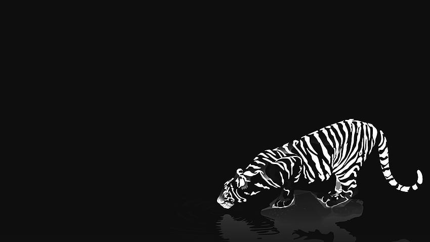 Черно-бял тигър, админ HD тапет