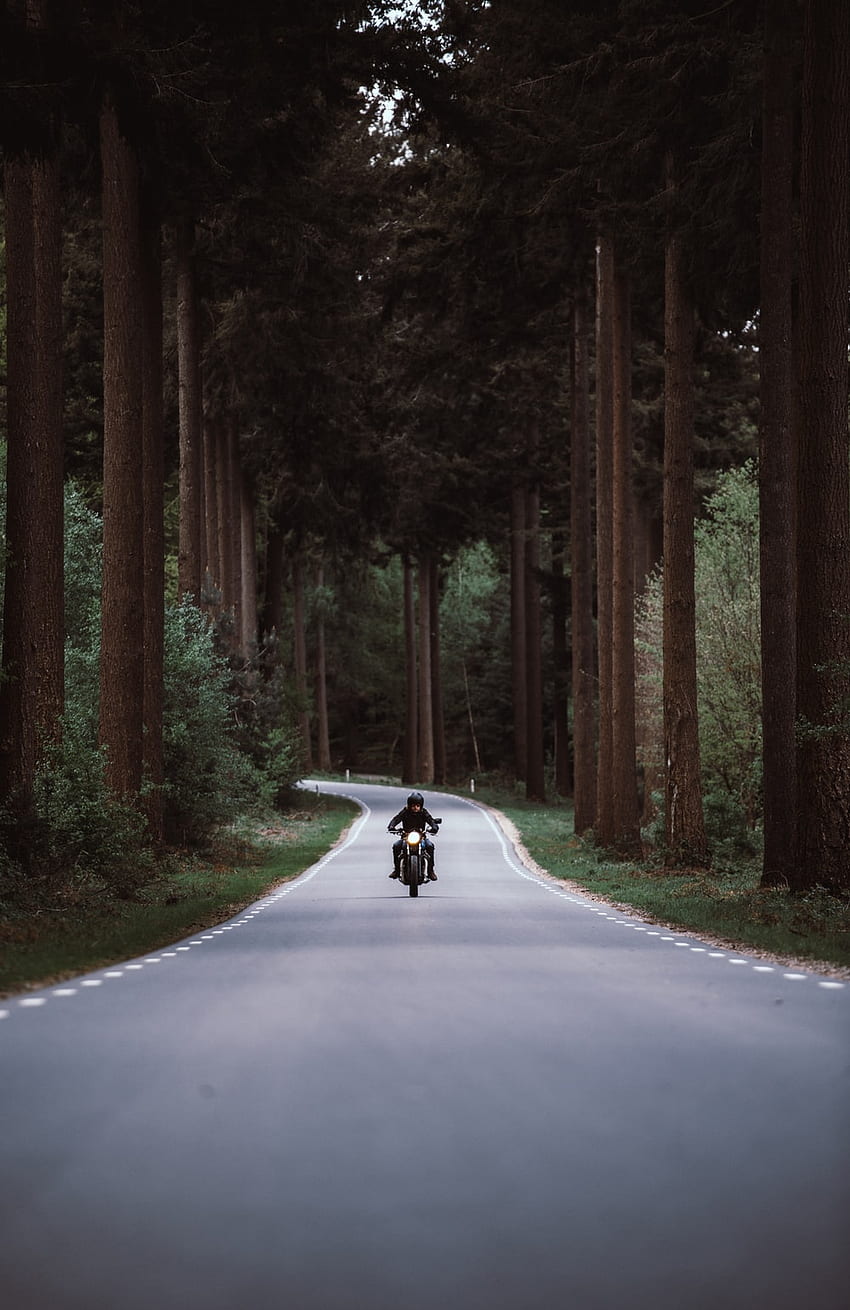 Best Motorcycle, Bike Travel HD phone wallpaper