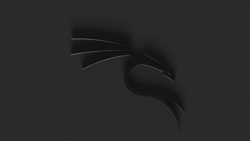 Black Dragon Kali Linux HD wallpaper
