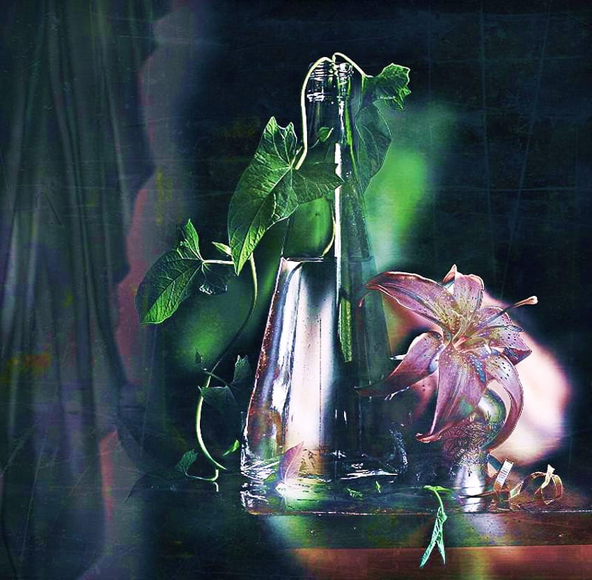 Lily dan ivy, benda mati, merah muda, ivy, hijau, vas, air, bunga bakung Wallpaper HD