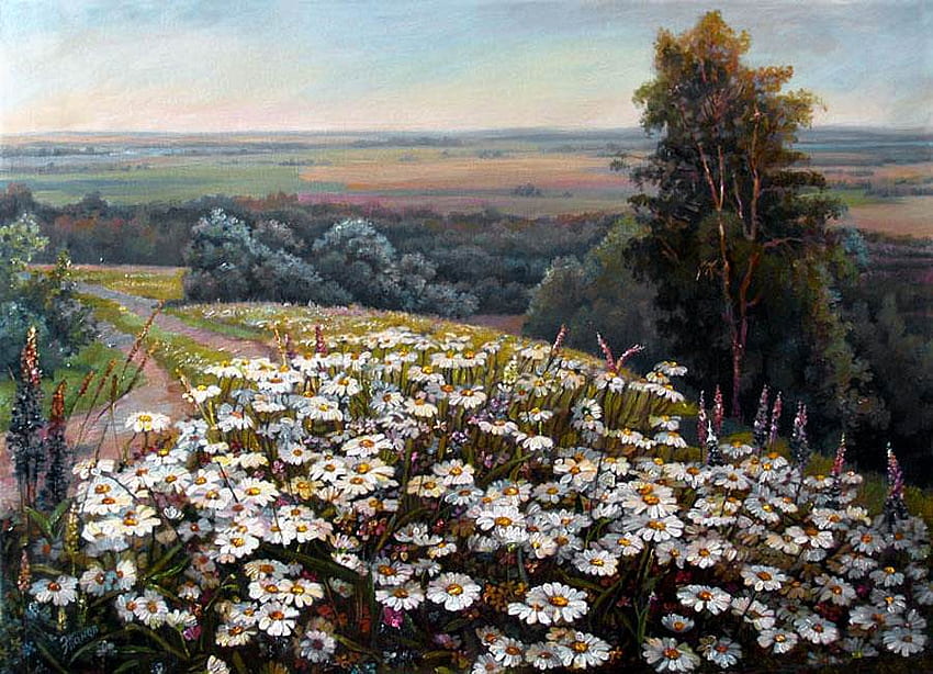 Panov, Edward. Field of daisies., panov edward, painting, art, field, daisy, flower HD wallpaper