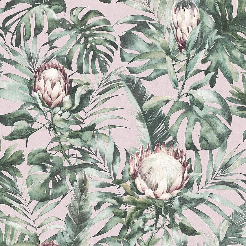 Holden Decor Glasshouse Protea Floral Dusty Pink 90060 - Tropical Palm .uk: DIY & Tools wallpaper ponsel HD
