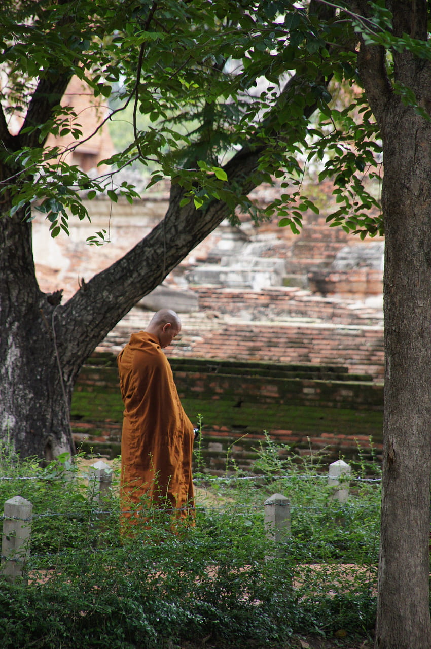 / monje munk tailandia budismo monasterio naranja, monje chino fondo de pantalla del teléfono