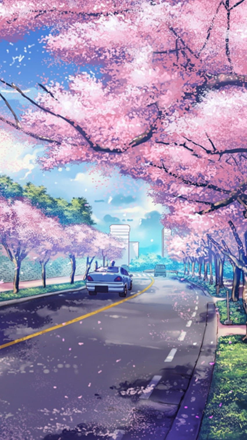 Anime Paisible, Sakura Arbre Anime Fond d'écran de téléphone HD