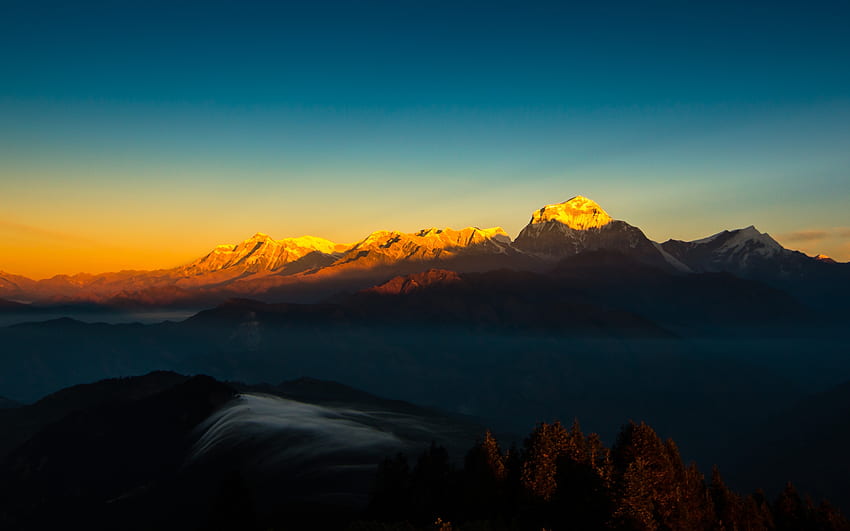 Планина, златни върхове, Хималаи, планинска верига, залез HD тапет