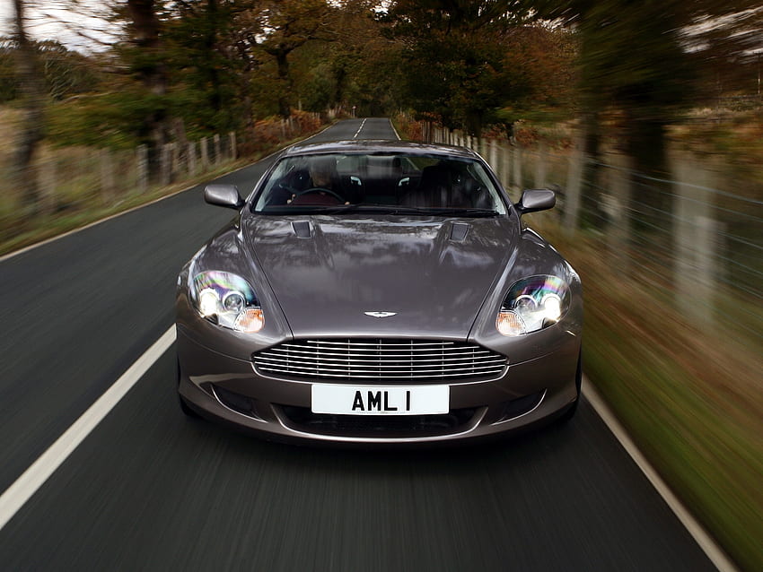 Auto, Nature, Trees, Grass, Aston Martin, Cars, Front View, Grey, Speed, Style, 2004, Db9 HD wallpaper