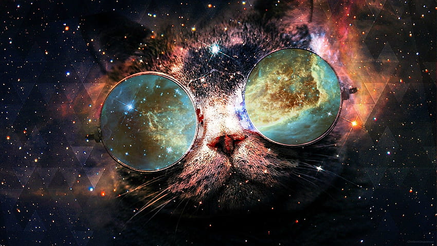 Space Cat , Amazing Cat Galaxy HD wallpaper