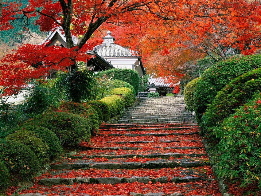 A humble stroll through Itaibara mountain village, Japan, Japanese Countryside HD wallpaper