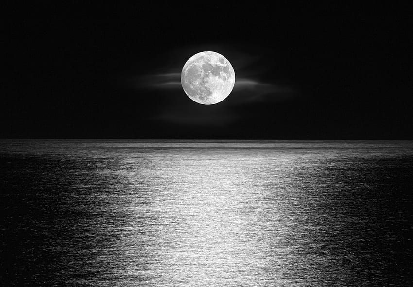 luna, mar, cielo, monocromo, noche fondo de pantalla