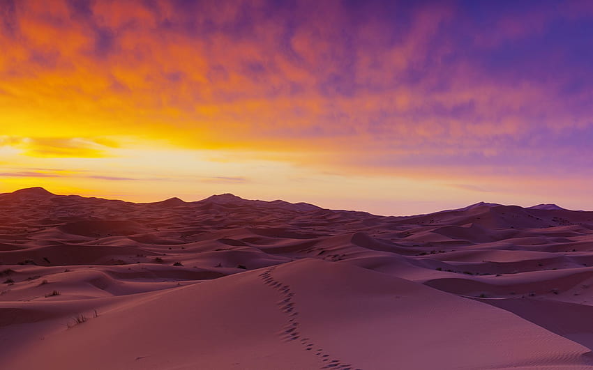 Sahara desert sand dunes . iOS and Android HD wallpaper