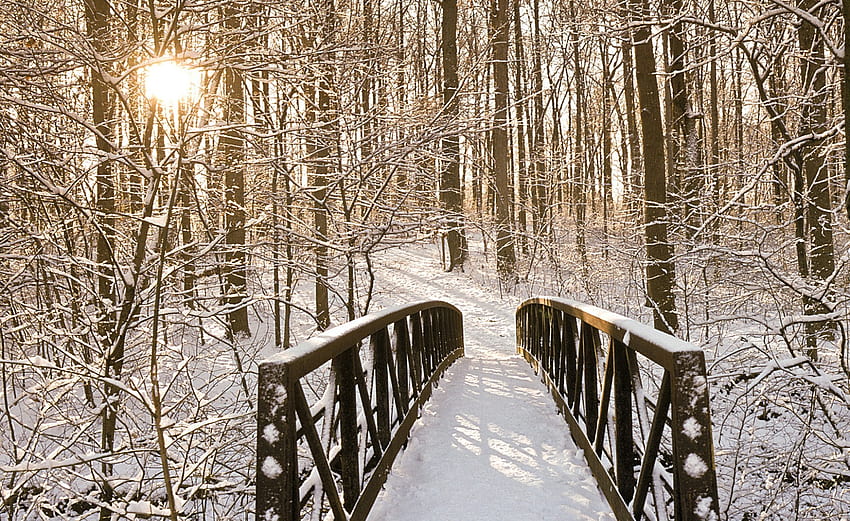 A Bridge in the Snow, winter, guard-rail, awesome, pc, , cena, colors, nice, background, scenery, snow, trees, scenario, sunshine, maroon, beije, white, woods, cold, forests, panorama, multicolor, cenario, star, icy, view, computer, , paisage, grove, ice, sunny, colorful, black, graphy, high definition, , colours, roots, brown, , amazing, , paysage, sun, pathway, scene, frozen, path, beautiful, seasons, , landscapes, sunrays, hop, branches, paisagem, cool, bridges HD wallpaper